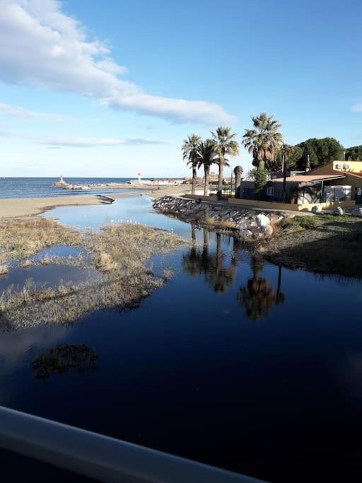 Banyuls La Grande Bleue : Studio T1 Exterior photo
